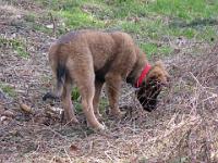 2009_03_15 bella _001